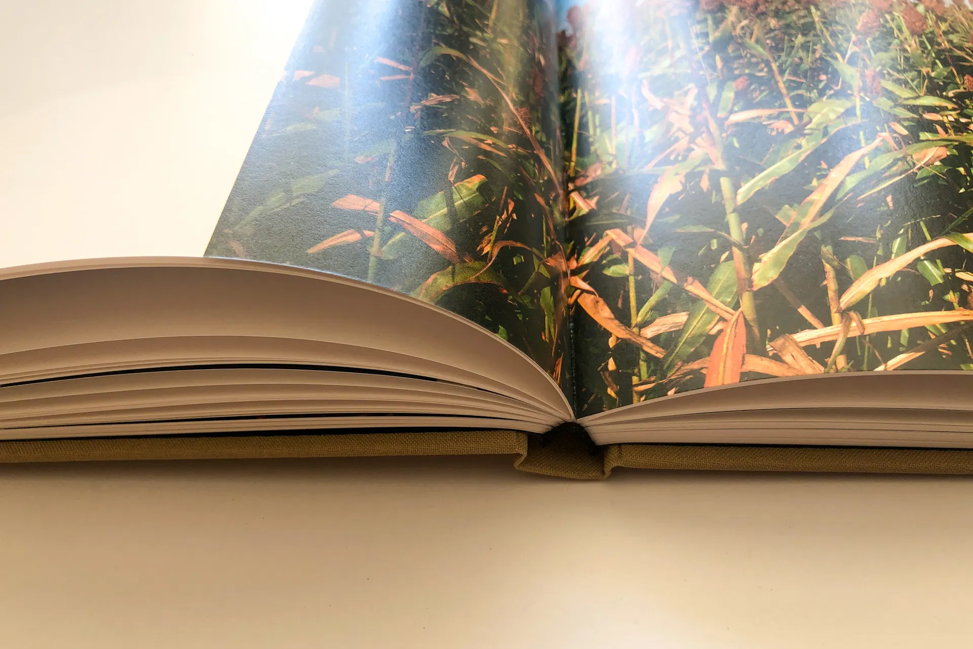 1_t89aSz9CODVofXxbcBmaGQ