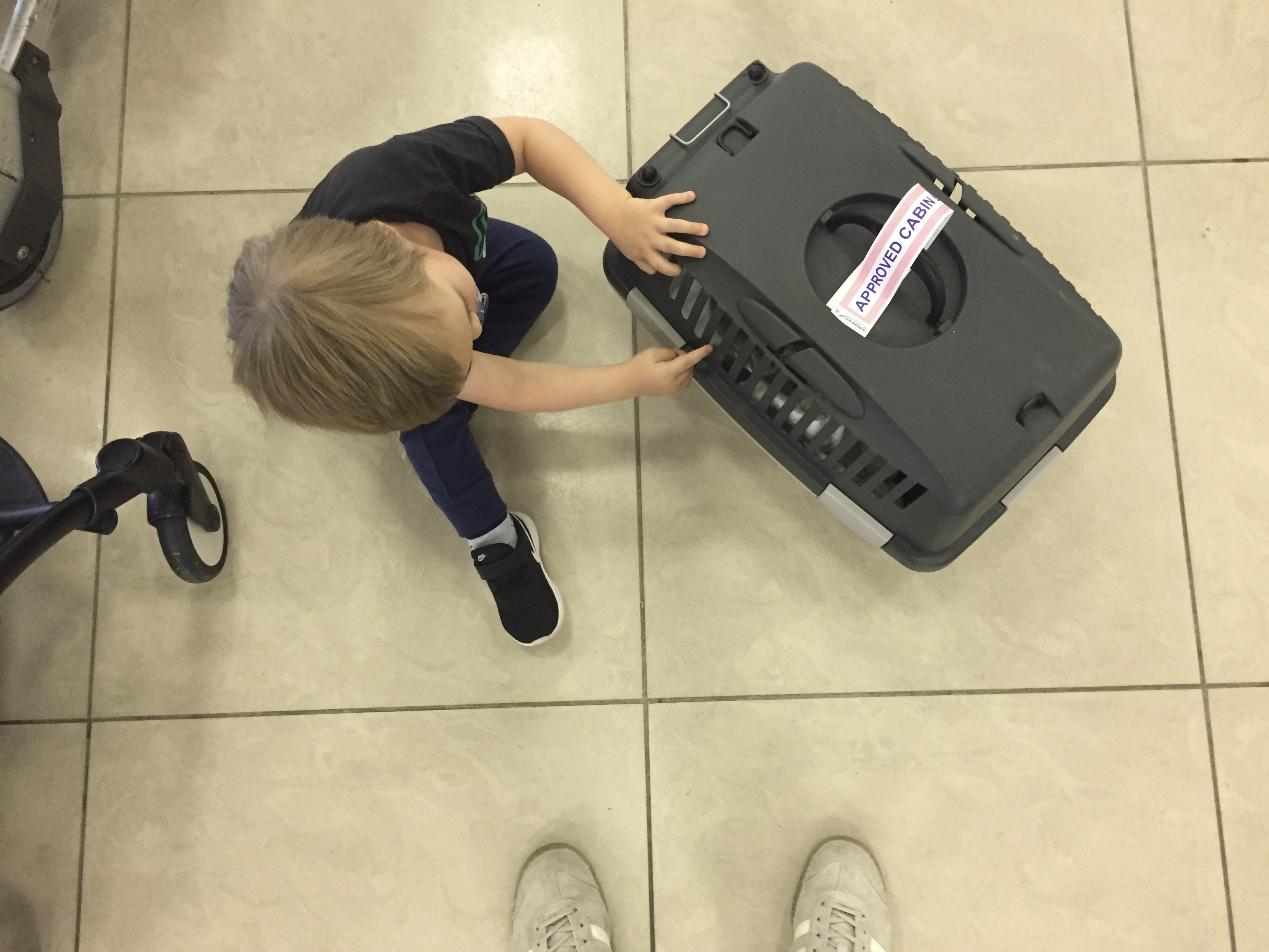 A baby and a cat are in an airport